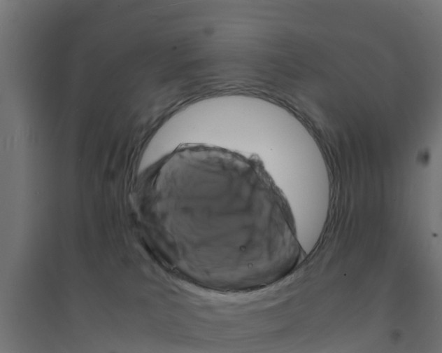 X0000094180039200711241603