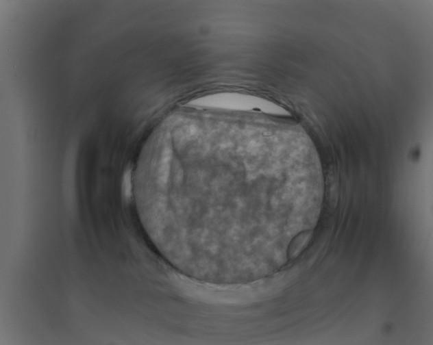 X0000094180042200711241603