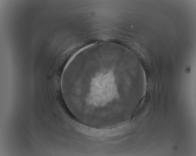 X0000094180043200711241603