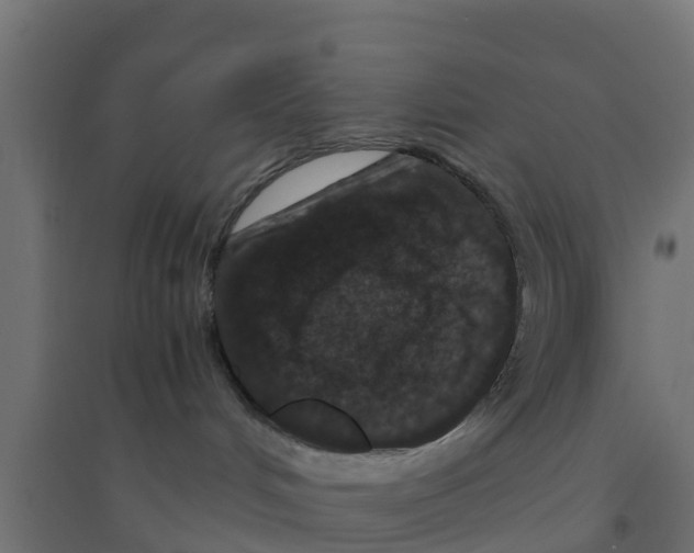 X0000094180048200711241603