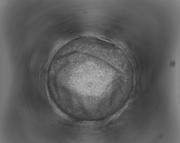 X0000094180049200711241602