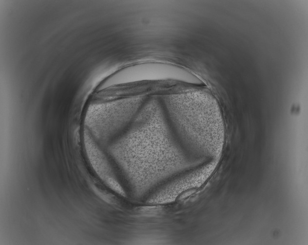 X0000094180050200711241602