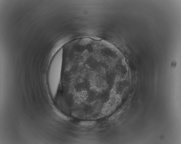 X0000094180051200711241602