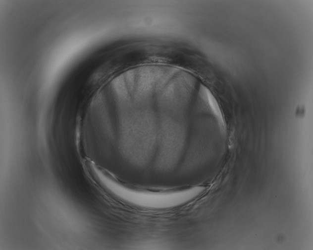 X0000094180052200711241602