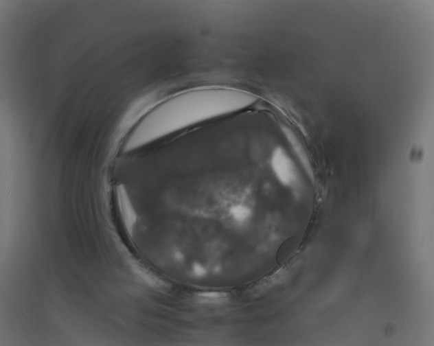X0000094180053200711241602