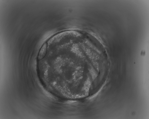 X0000094180055200711241602