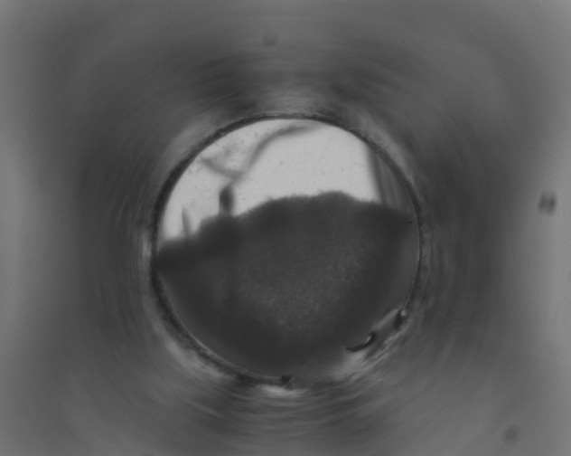 X0000094180059200711241602