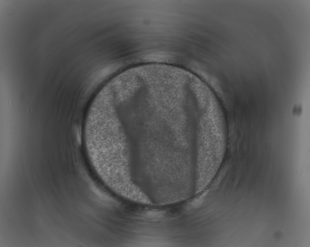 X0000094180062200711241602