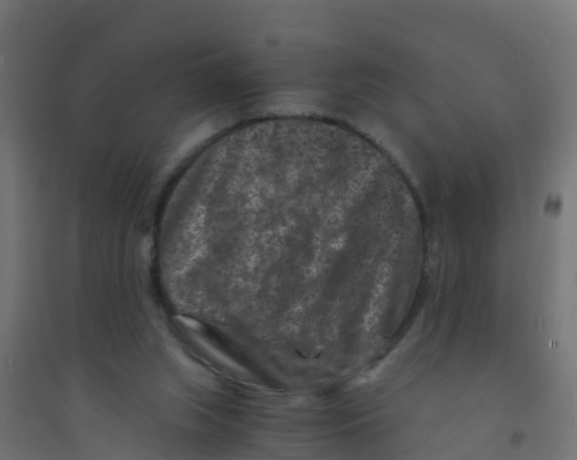 X0000094180063200711241602