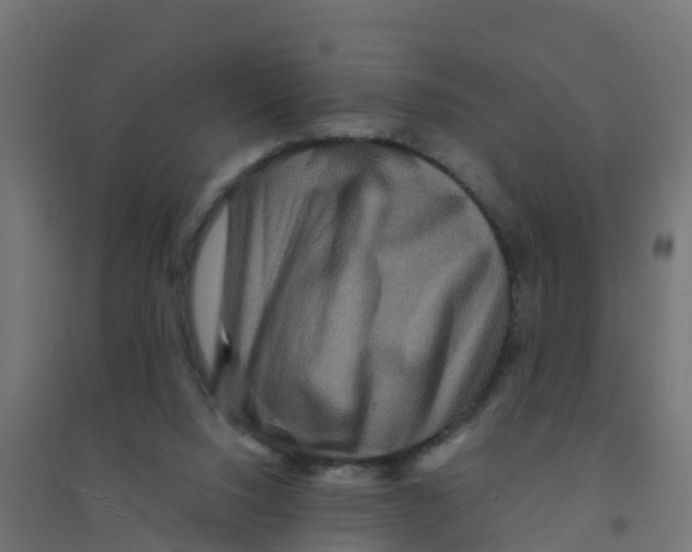 X0000094180064200711241602