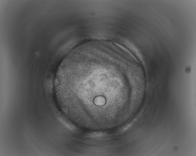 X0000094180065200711241602