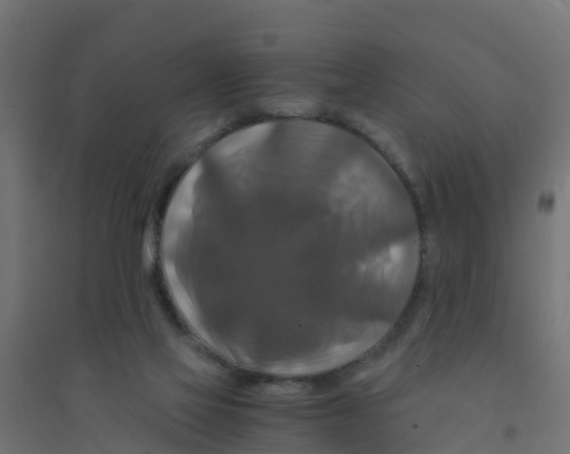 X0000094180069200711241602