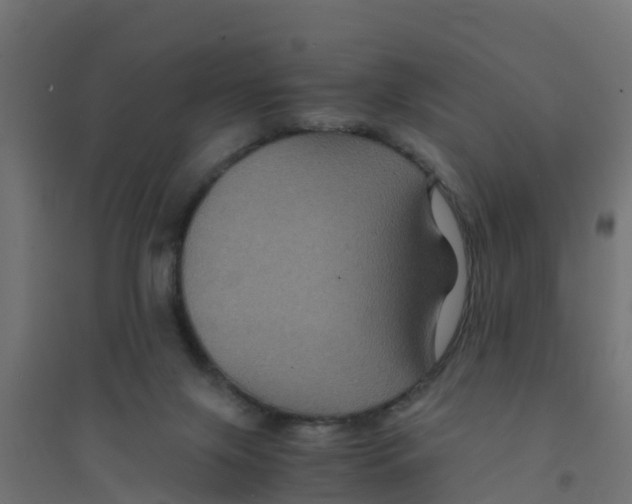 X0000094180071200711241602