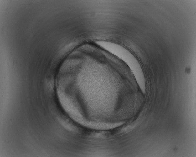 X0000094180072200711241602