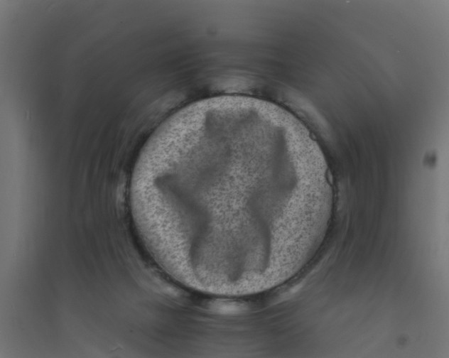 X0000094180073200711241602