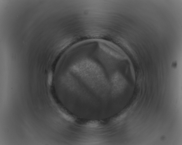 X0000094180076200711241602