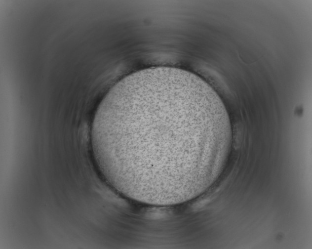 X0000094180077200711241602