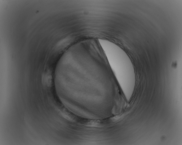 X0000094180080200711241602