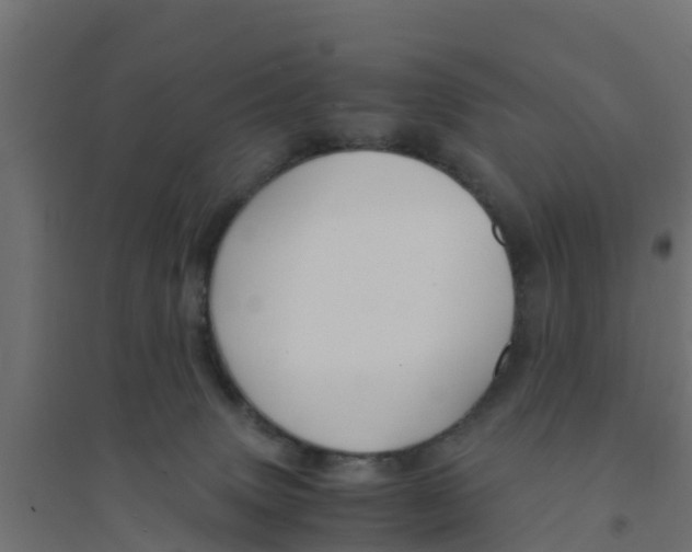 X0000094180083200711241602