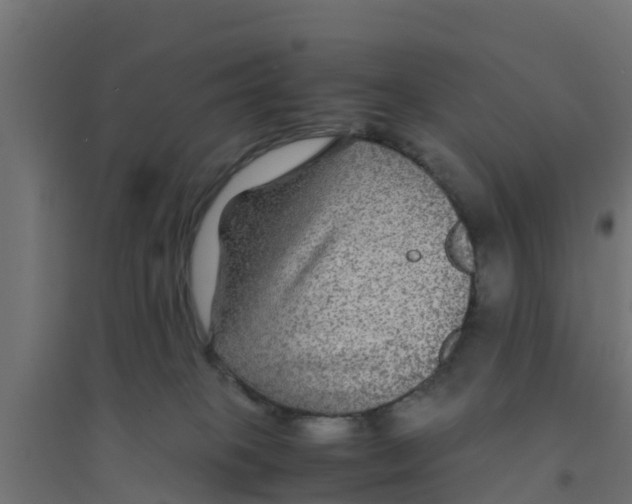 X0000094180085200711241602