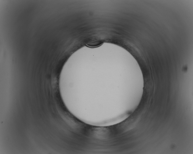 X0000094180087200711241602