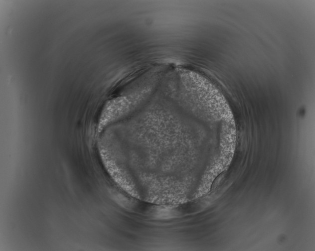 X0000094180093200711241603