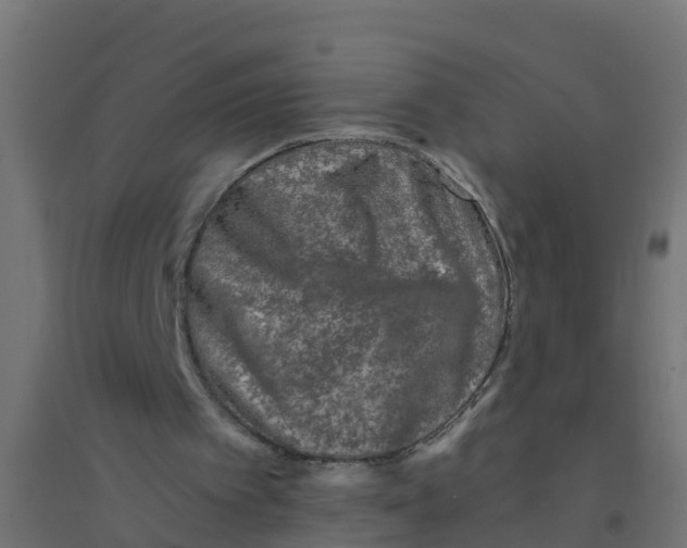 X0000094180097200711241602