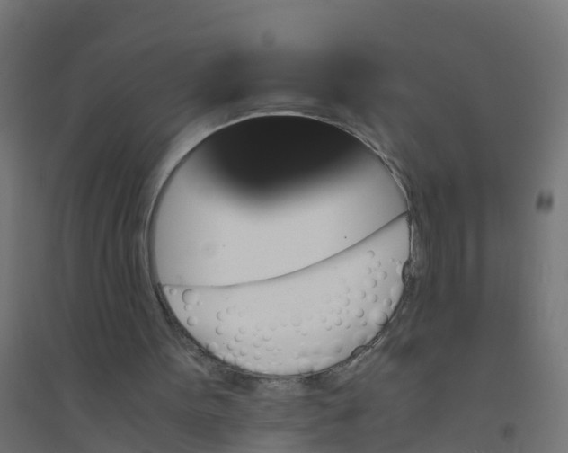 X0000094180099200711241602