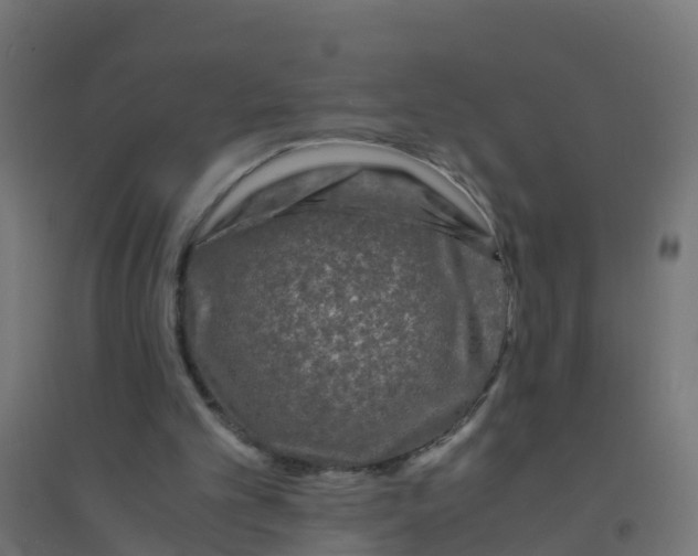 X0000094180101200711241602