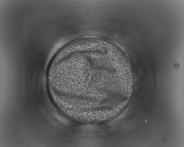 X0000094180102200711241602