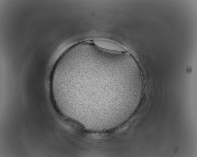 X0000094180103200711241602