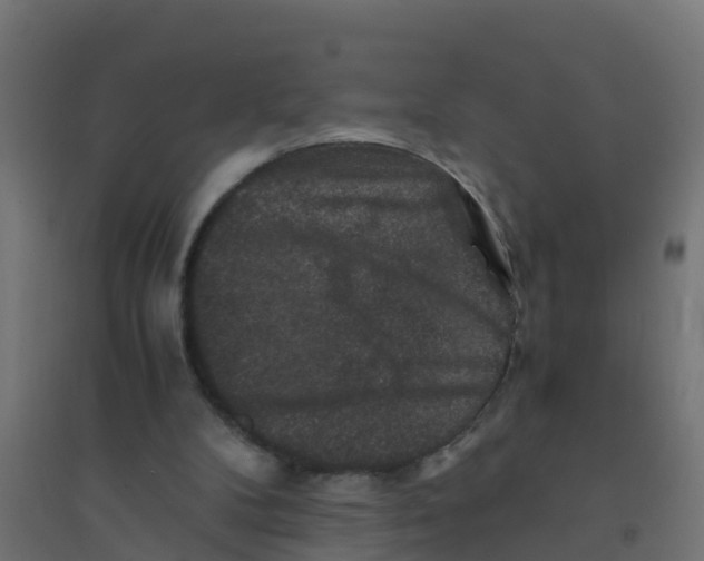 X0000094180104200711241602