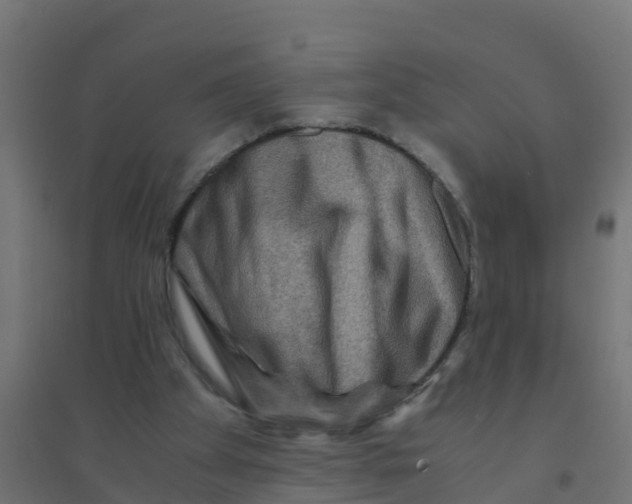 X0000094180105200711241602