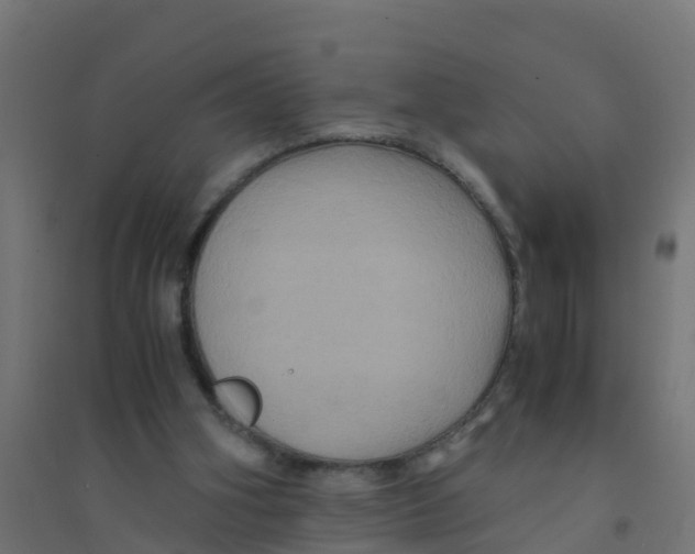 X0000094180106200711241602
