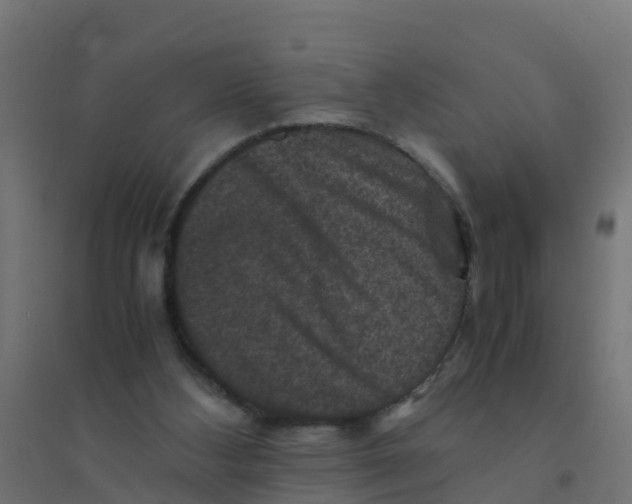 X0000094180108200711241602