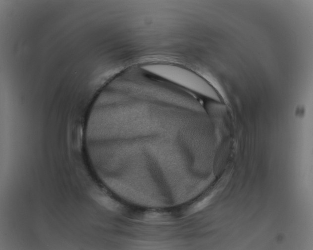 X0000094180109200711241602