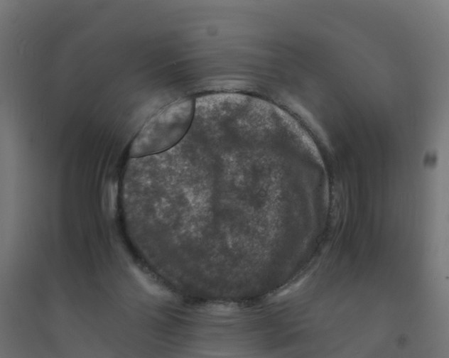 X0000094180110200711241602