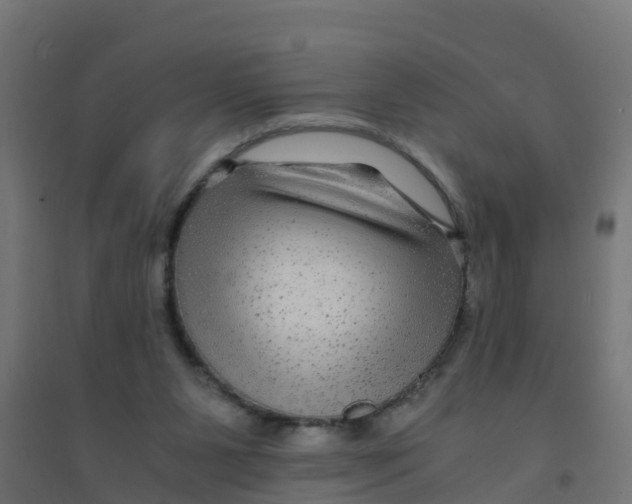 X0000094180111200711241602
