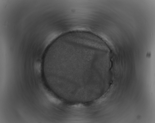X0000094180112200711241602