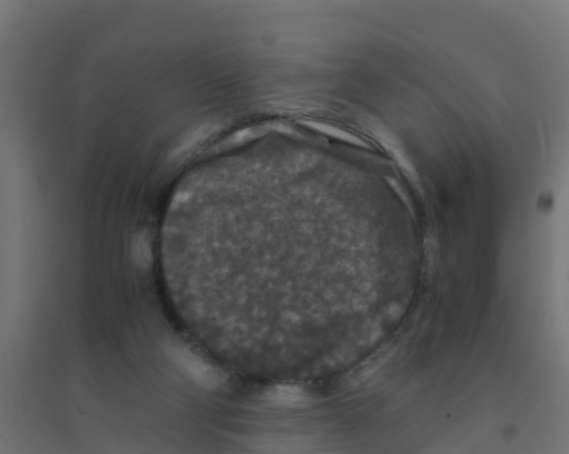 X0000094180114200711241602