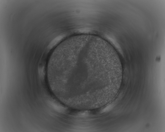X0000094180116200711241602