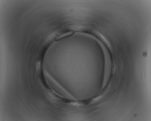 X0000094180117200711241602