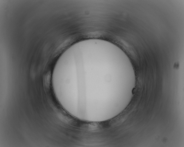 X0000094180118200711241602