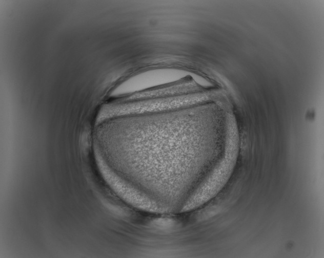 X0000094180119200711241602