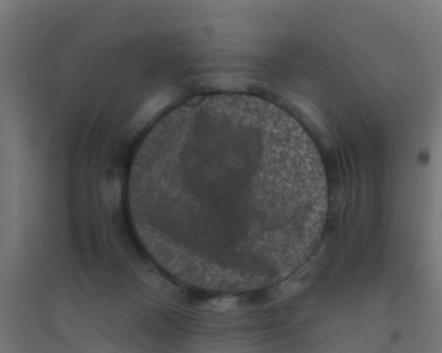 X0000094180120200711241602