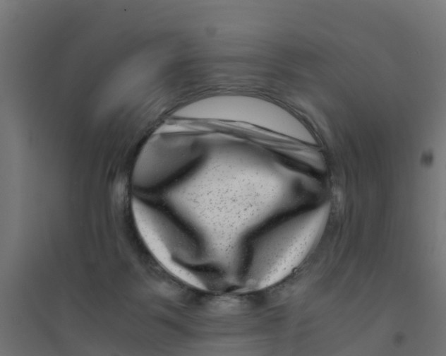 X0000094180123200711241602