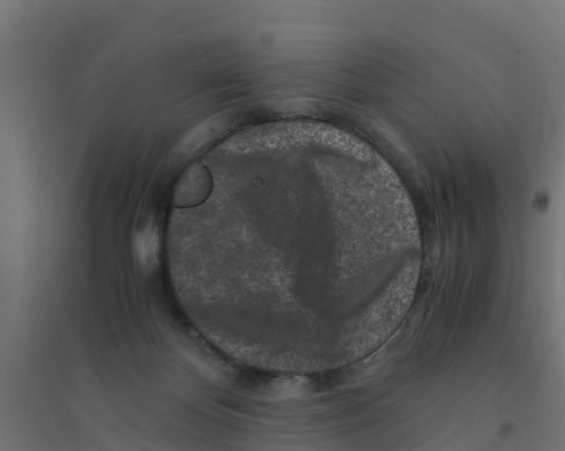 X0000094180124200711241602