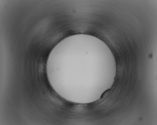 X0000094180126200711241602