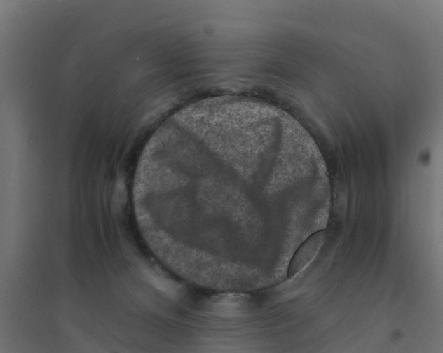 X0000094180128200711241601