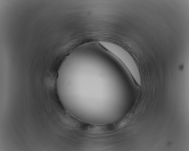 X0000094180129200711241601